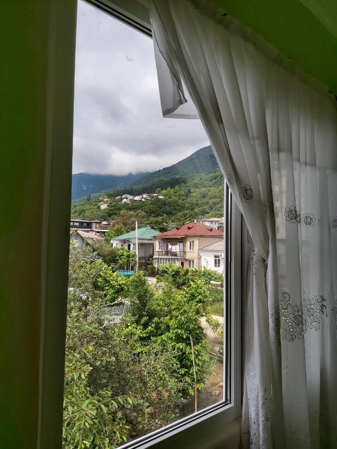 Na Shapsug Guest House Gagra Exteriér fotografie
