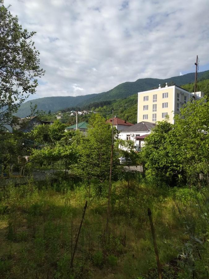 Na Shapsug Guest House Gagra Exteriér fotografie