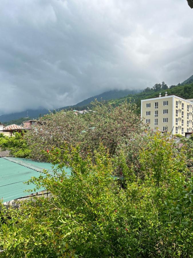 Na Shapsug Guest House Gagra Exteriér fotografie